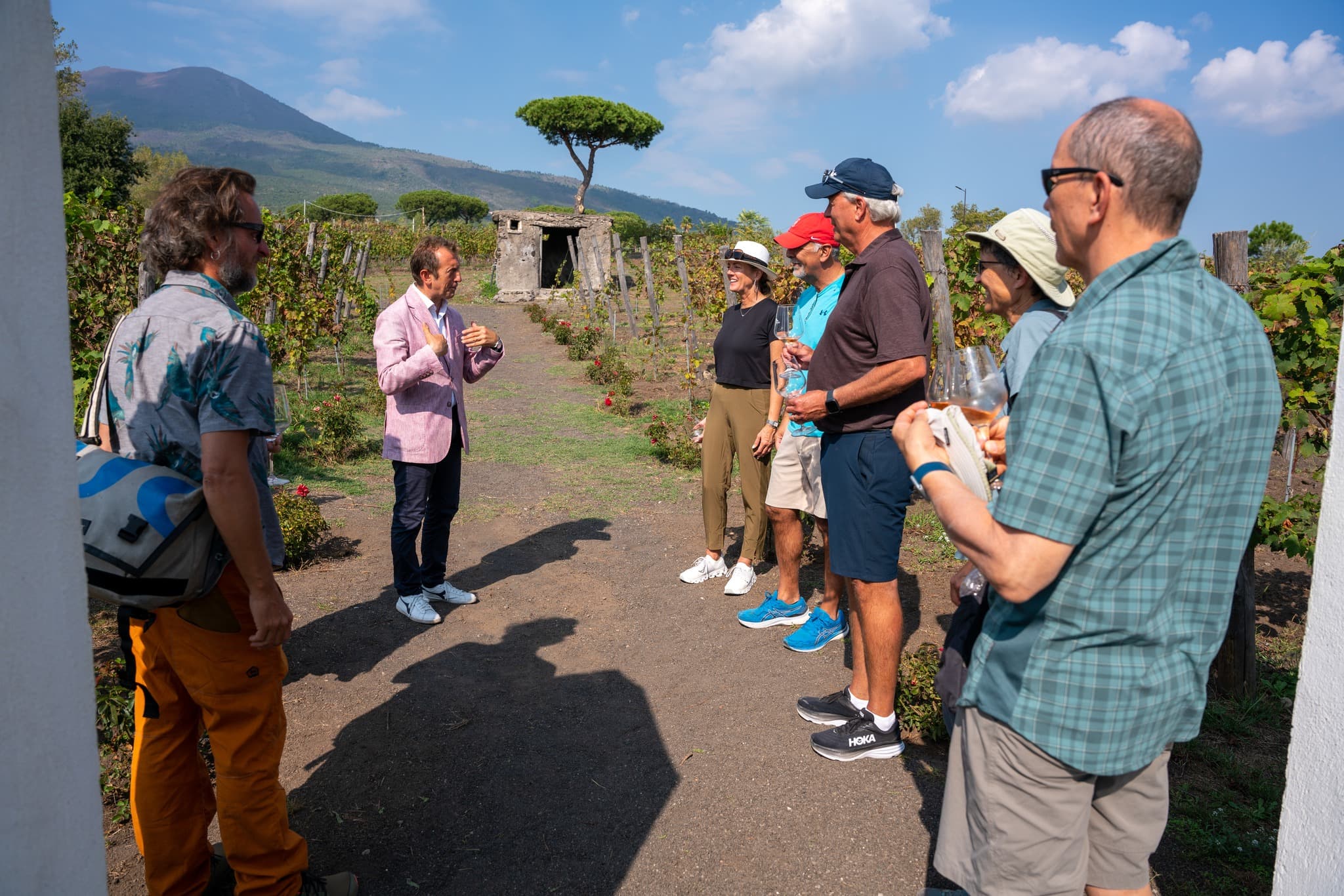 Guide speaking to tourists in vineyard with mountain view.